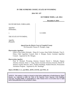 IN THE SUPREME COURT, STATE OF WYOMING