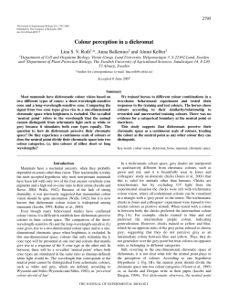 Colour perception in a dichromat - Journal of Experimental Biology