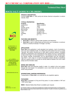 BCI CHEMICAL CORPORATION SDN BHD (441454