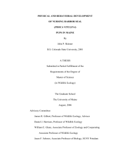 Physical and behavioral development of nursing harbor seal