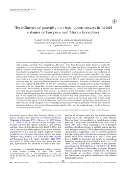 The influence of paternity on virgin queen success in hybrid colonies