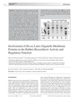 Involvement of Hevea Latex Organelle Membrane Proteins in the