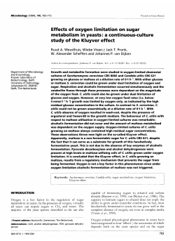 Effects of oxygen limitation on sugar metabolism in