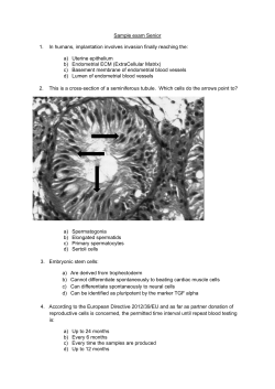Senior Embryologists