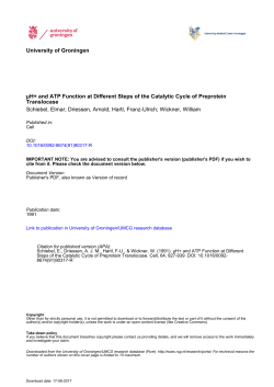 University of Groningen &micro;H+ and ATP Function at Different
