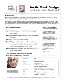 Arctic Mask Design