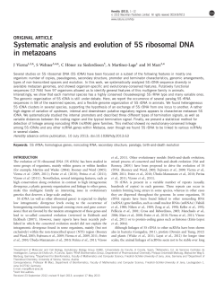 Systematic analysis and evolution of 5S ribosomal DNA in