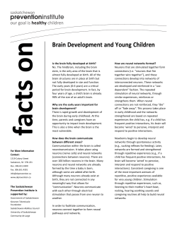 File - Saskatchewan Prevention Institute