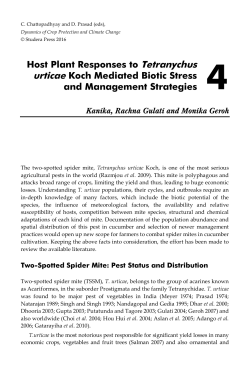 Host Plant Responses to Tetranychus urticae Koch Mediated Biotic