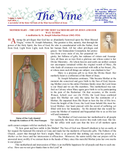 Fall Vine 2010 - sacredheartsisters