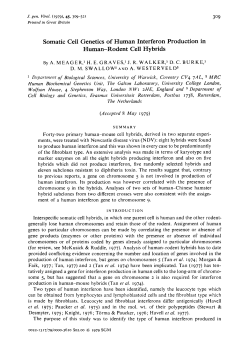 Somatic Cell Genetics of Human Interferon Production in Human