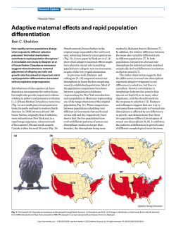 Adaptive maternal effects and rapid population differentiation