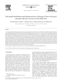 Diel spatial distribution and feeding activity of herring (Clupea