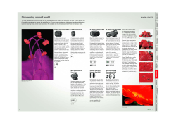 Discovering a small world