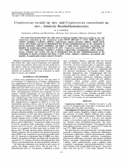 Cryptococcus socialis sp. nov. and Cryptococcus consortionis sp
