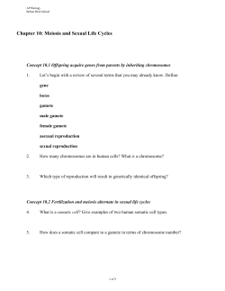 Chapter 10: Meiosis and Sexual Life Cycles