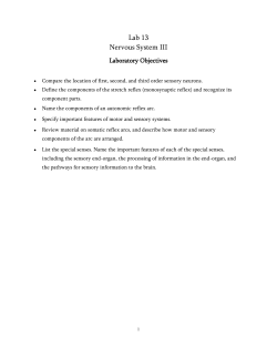 Lab 13 Nervous System III