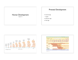 Human Development