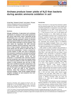 Archaea produce lower yields of N2O than bacteria during aerobic