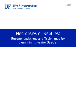 Necropsies of Reptiles - EDIS