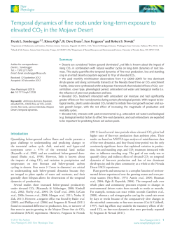 Temporal dynamics of root growth under long-term exposure