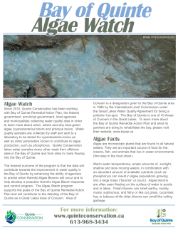 Bay of Quinte Algae Watch