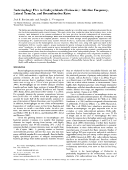 Bacteriophage Flux in Endosymbionts (Wolbachia)
