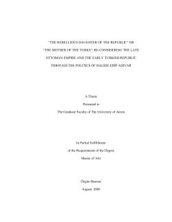 TABLE OF CONTENTS - OhioLINK Electronic Theses and