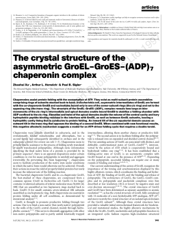 The crystal structure of the asymmetric GroEL&ndash;GroES&ndash;(ADP)7