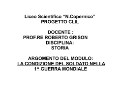 Liceo Scientifico N.Copernico PROGETTO CLIL