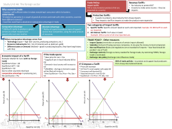 Protective Tariffs