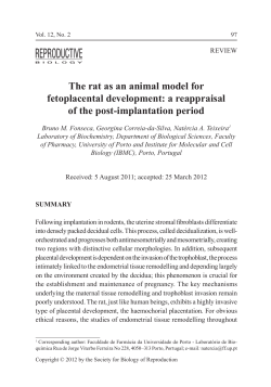 The rat as an animal model for fetoplacental development: a