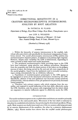 analysis by root ablation - Journal of Experimental Biology