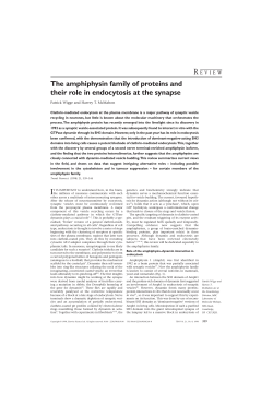 The amphiphysin family of proteins and their role in endocytosis at