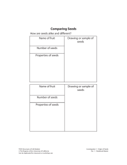 Science Notebook Masters (Full Sheet)