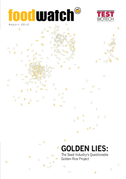 Golden Lies - the seed industry`s questionable Golden Rice project