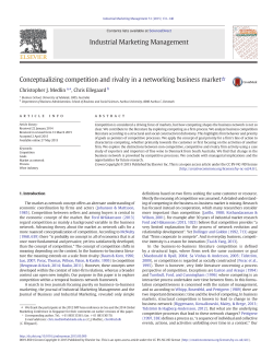 Conceptualizing competition and rivalry in a networking business