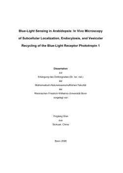pdf-Dokument - Universit&auml;t Bonn