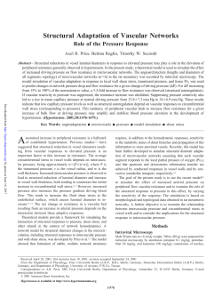 Structural Adaptation of Vascular Networks