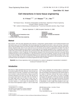 Cell interactions in bone tissue engineering