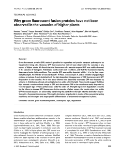 jc-tamura et al