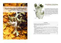 Australas. Lichenol. - Australian National Botanic Gardens