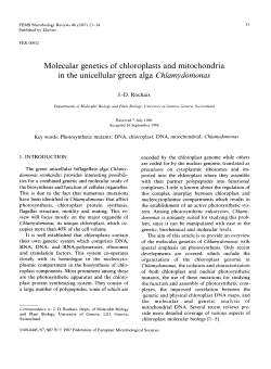 Molecular genetics of chloroplasts and mitochondria in the