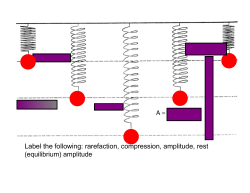 Label the following: rarefaction, compression, amplitude, rest