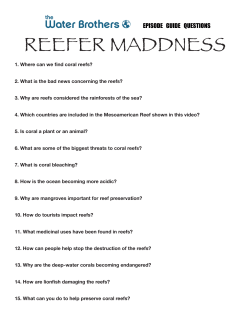 Reefer Madness - The Water Brothers