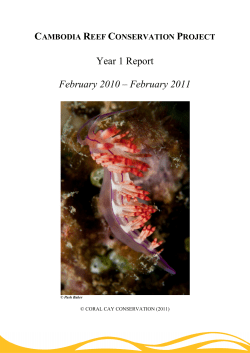 Cambodia Coral Reef Conservation Project