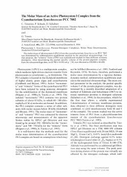 The Molar Mass of an Active Photosystem I Complex