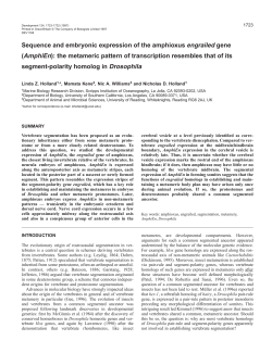 Sequence and embryonic expression of the amphioxus