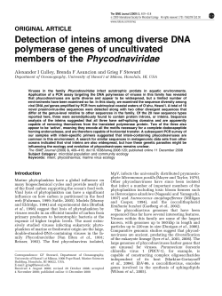 Detection of inteins among diverse DNA polymerase genes