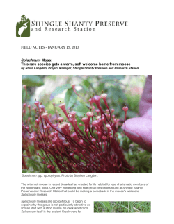 Field Notes - Of Moss and Moose - Shingle Shanty Preserve and